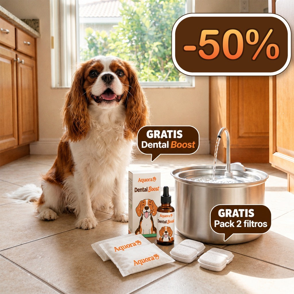 Fuente de Agua para Perros Aquora + Dental Boost — Pack de Salud