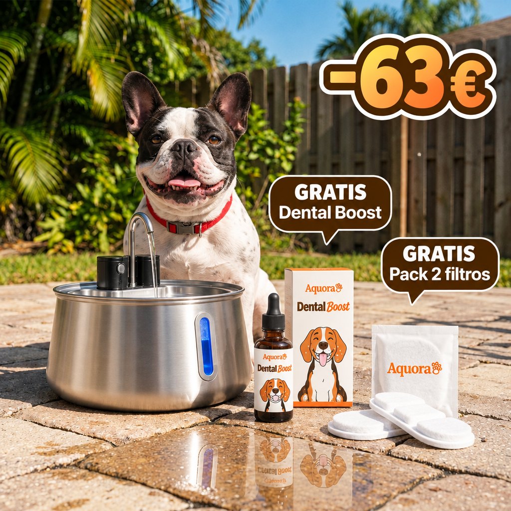 Fuente de Agua para Perros Aquora + Dental Boost — Pack de Salud
