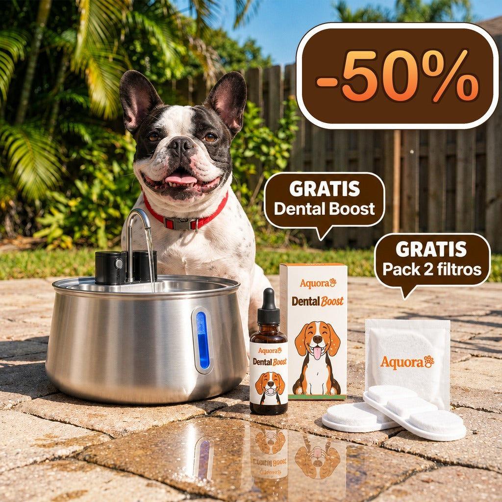 Fuente de Agua para Perros Aquora + Dental Boost — Pack de Salud