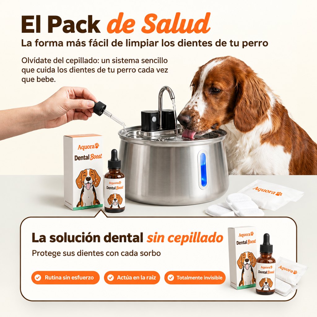 Fuente de Agua para Perros Aquora + Dental Boost — Pack de Salud