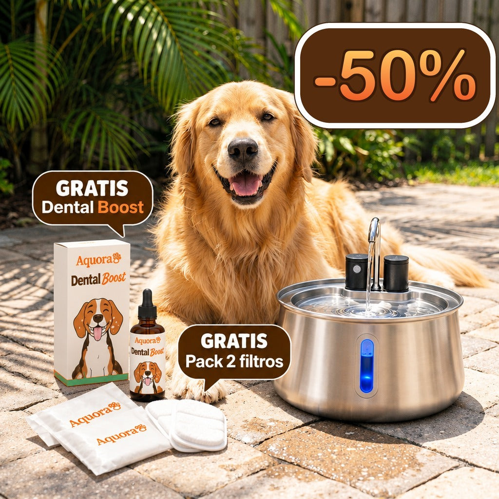 Fuente de Agua para Perros Aquora + Dental Boost — Pack de Salud