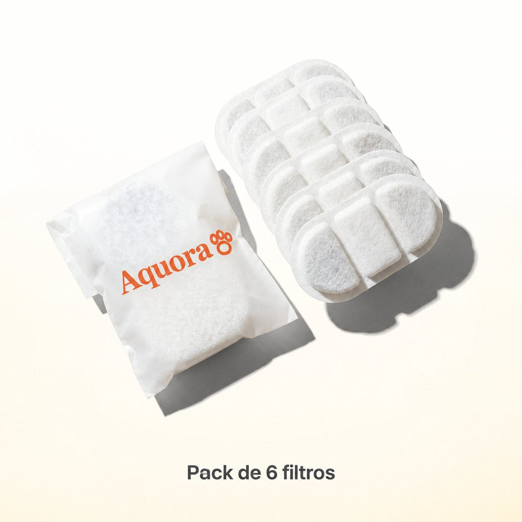 Pack de Salud — Recarga (Dental Boost + 4 filtros)