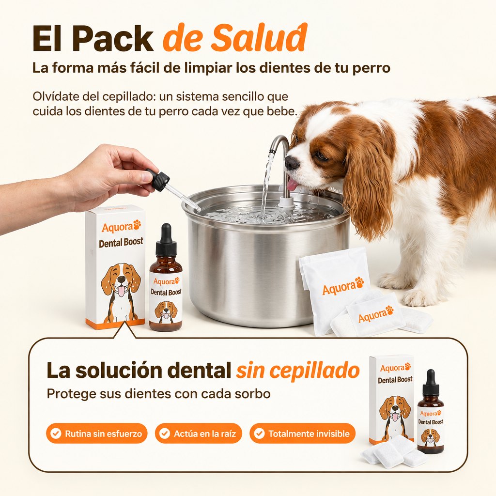 Fuente Aquora 4 litros no inalámbrica